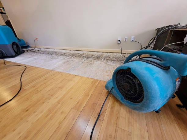 Professional Burst Pipe Water Damage technician working in Bradley, SC